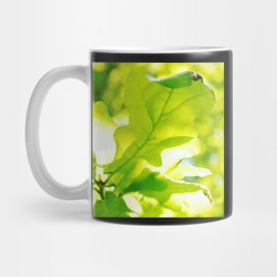 Oak Leaves in Sunlight Mug